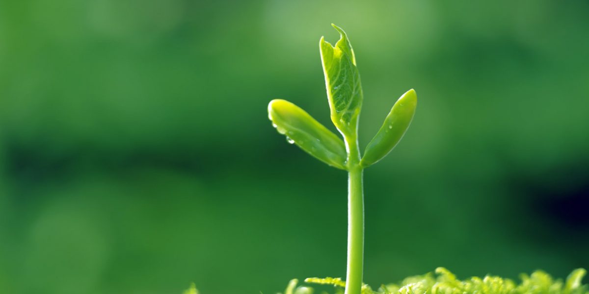 Startup UX: Get The Help You Need